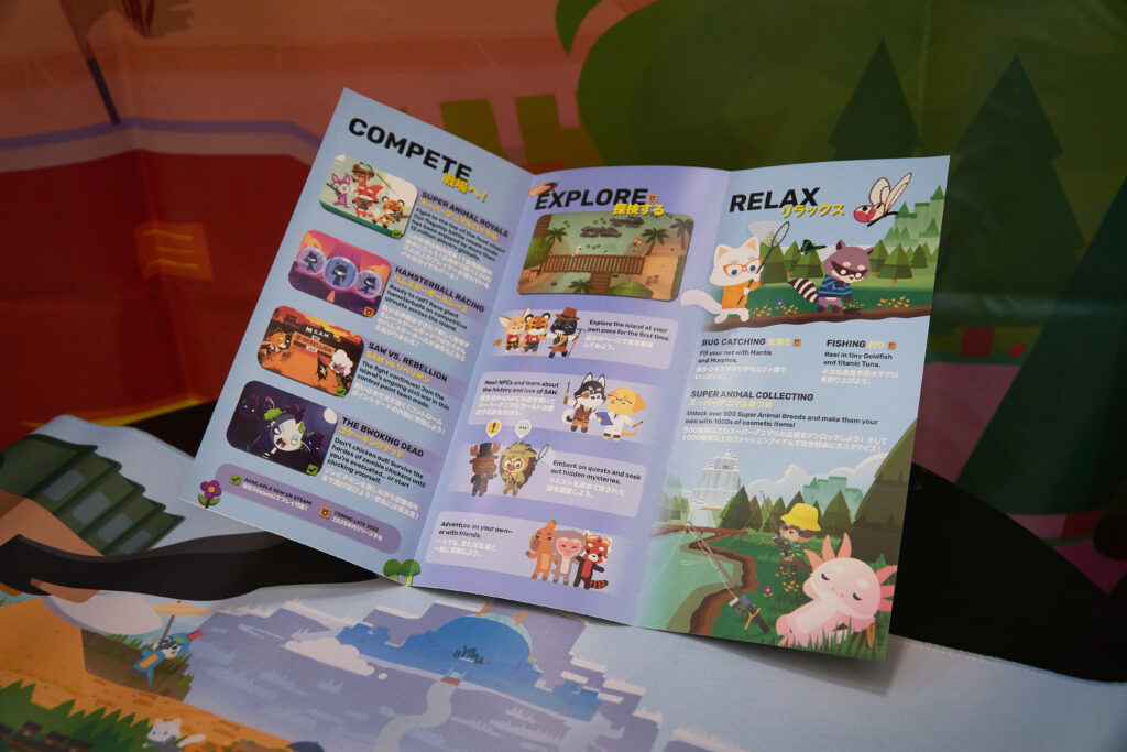 Bilingual Brochure — image 6